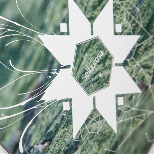 T-V Selburosa (10'') 